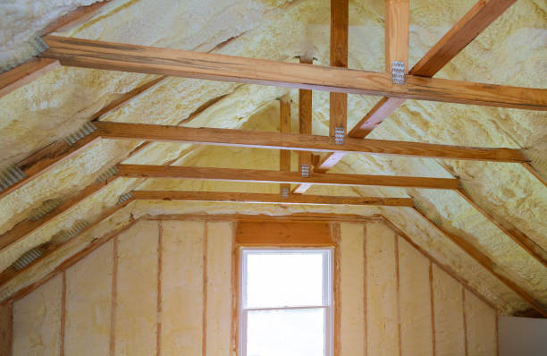 Best Residential Insulation in Greeley, CO