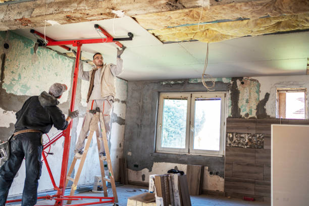 Best Eco-Friendly Insulation in Greeley, CO